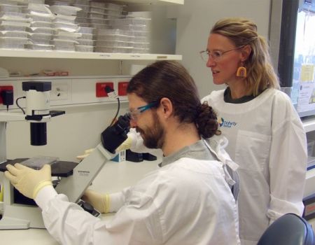 Two individuals conducting research in a lab.
